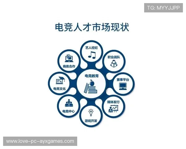 运动员经纪服务上链探索，权益流通更透明