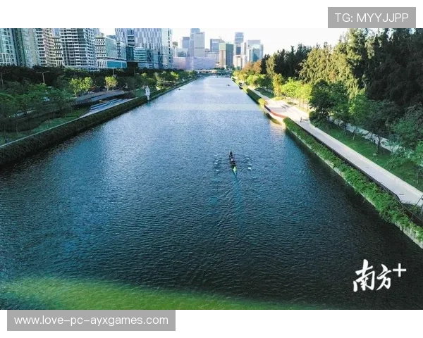 深圳新鹏城连环推进再度引发混乱